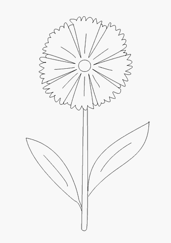 Раскраска цветок Василек