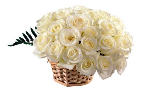 Букеты белых роз фото