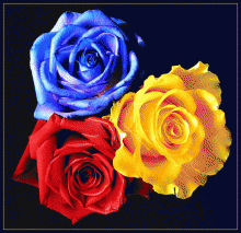 букет роз разноцветный