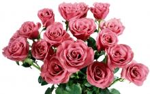 Букеты розовых роз фото